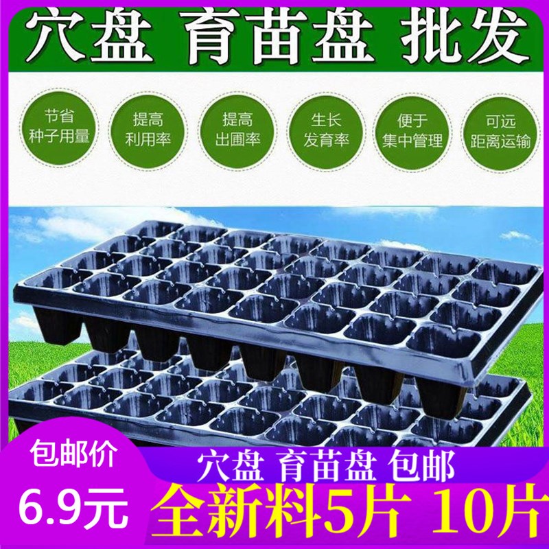 速发育苗穴盘营养钵塑料育苗杯辣椒育苗盘多肉蔬菜草莓苗木育苗器