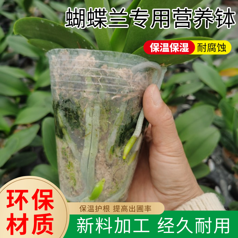 速发透明营养钵育苗杯育苗钵塑花多肉石斛兰兰透明盆蝴蝶兰花料营