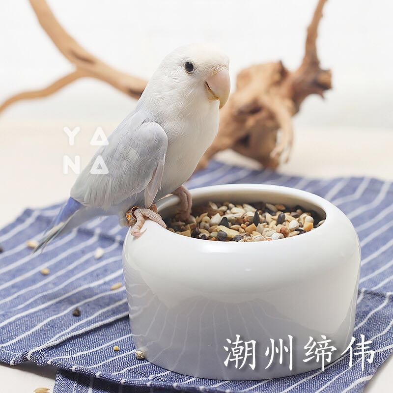 速发防撒鸟食罐陶瓷鸟食盒 防溅鸟碗 多用途鸟禽食槽 爱宠小屋出