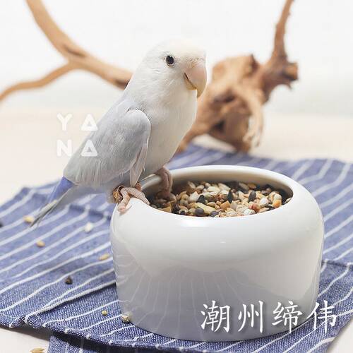 速发防撒鸟食罐陶瓷鸟食盒 防溅鸟碗 多用途鸟禽食槽 爱宠小屋出