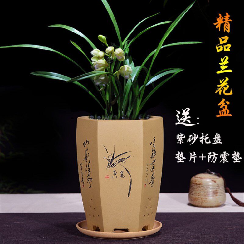 速发宜兴紫砂兰花盆景透六气方花约带托盘简盆紫砂君子兰陶瓷花盆