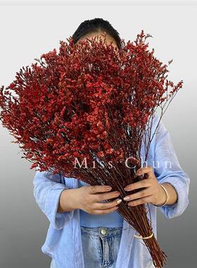 速发情人草红客晶 乾燥花花束云南直发 材料家居水厅装饰桌面小摆