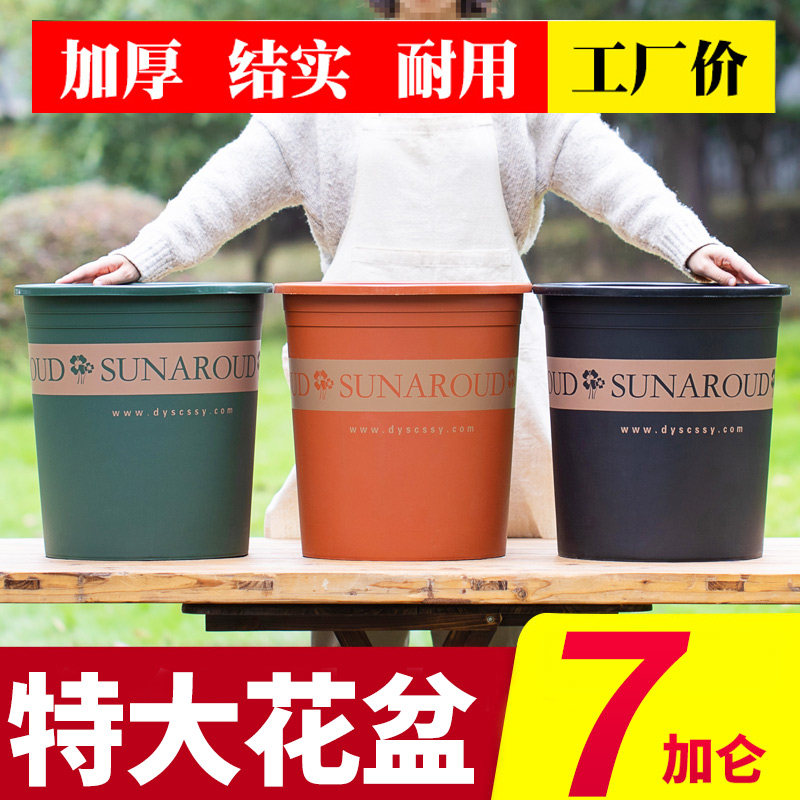 速发花多大口0径以上的202新款大号加仑塑料绿萝发财树月季盆肉