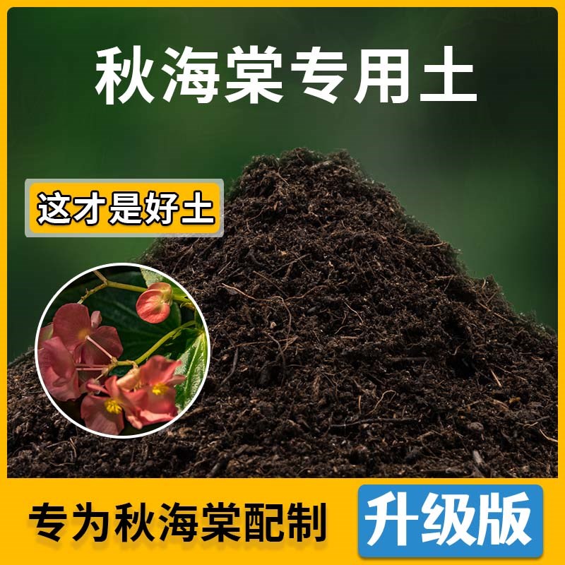 速发秋海棠土秋海棠营养土家用种植土壤家庭盆栽种花养花有机土