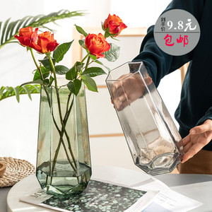速发水款瓶意简约玻璃花瓶透明新养插花创干花百合花客厅装饰摆件