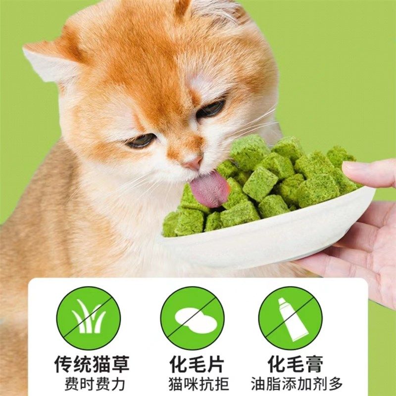 冻干猫草粒猫咪零食毛球拜拜懒人猫薄荷饼干猫零食磨牙棒洁齿狗助,宠物/宠物食品及用品,猫冻干零食,淘宝优惠券,粉丝福利购,淘宝优惠卷