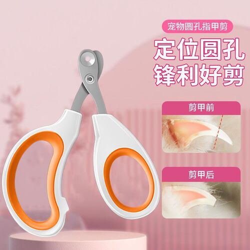 玄风鹦鹉专用指甲剪套装指甲剪指甲刀修剪指甲钳磨甲器鸟类用品