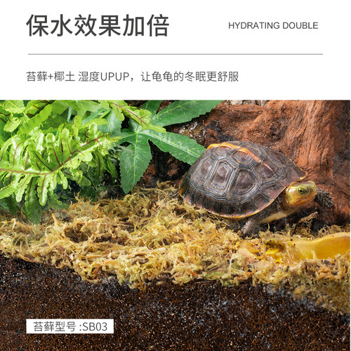 瑞皮Reptizoo椰砖爬虫箱乌龟冬眠寄居蟹专用椰土椰壳垫材爬宠垫料