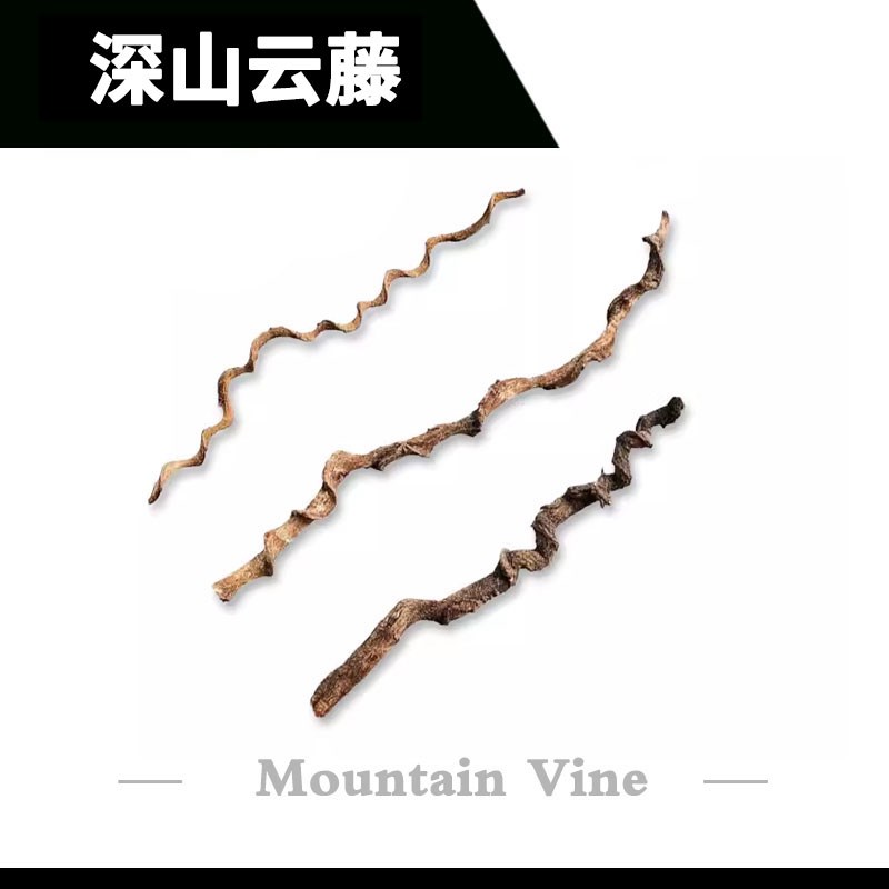 爬宠攀爬藤蔓过江龙装饰树蛙蛙变色龙蜥蜴造景植物树栖雨林缸藤条