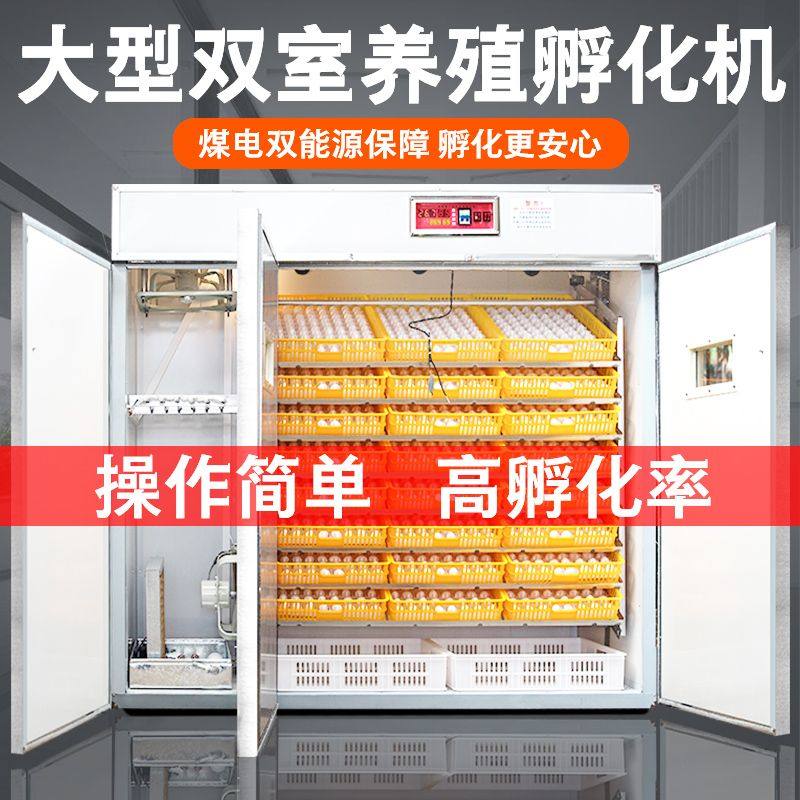 速发孵化机全自动家用小型小箱孵化鸡大型孵化器双室孵智机蛋能孵