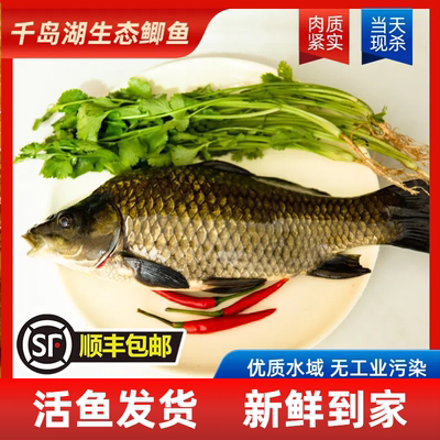 【活鱼】千岛湖生态鲫鱼无泥腥味老人小孩孕妈妈顺丰送增氧泵Z