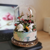 植物玻G璃罩瓶材料暖场活动手工盆栽 生态瓶苔藓微景观diy套装 包邮