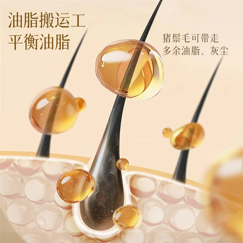 【减30】猪鬓毛可折叠梳子v便携式小巧随身携带刘海蓬松梳子防静