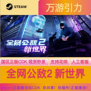 Steam正版全网公敌2新世界 国区激活码Cyber Manhunt 2  PC正版