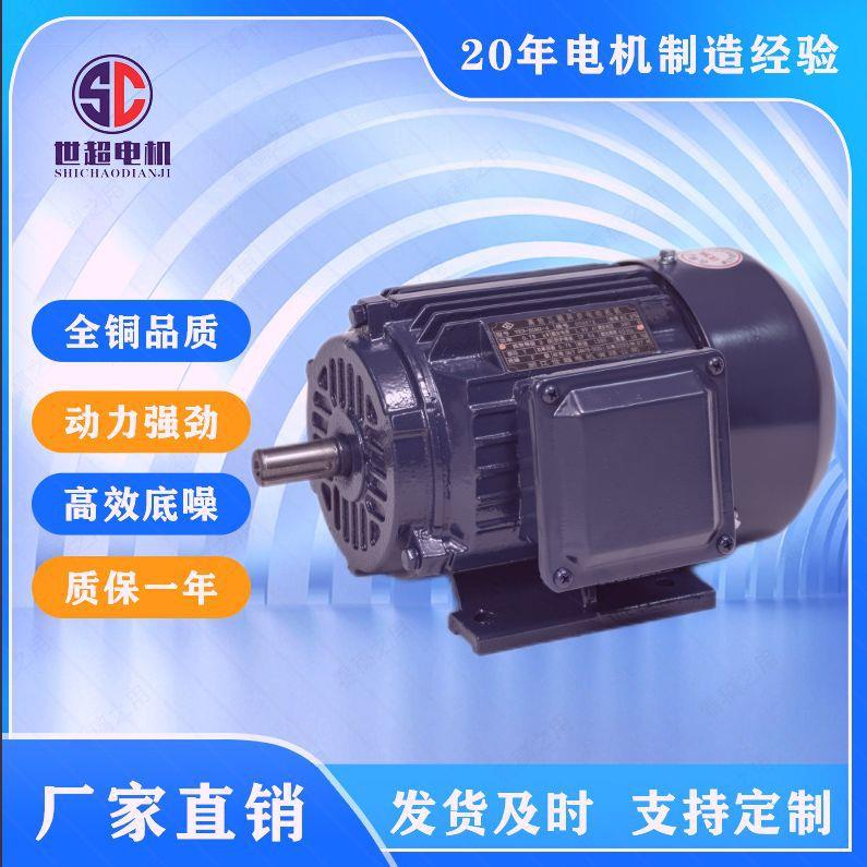 三相异步电动机高效YE3-80-355-2极立式卧式国标全铜芯电机