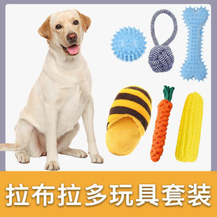 拉布拉多专用玩具套装耐咬发声宠物狗磨牙玩具小型犬解闷幼犬用品