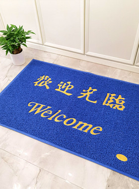 蓝色地垫大门口出入平安进门入户刮泥地毯门垫欢迎光临丝圈脚垫