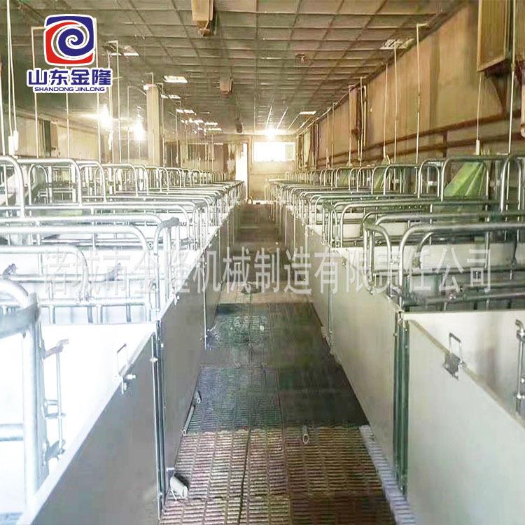 养场套设猪备养猪场污水处理设备母猪产床保育BNQ床欧式产成床