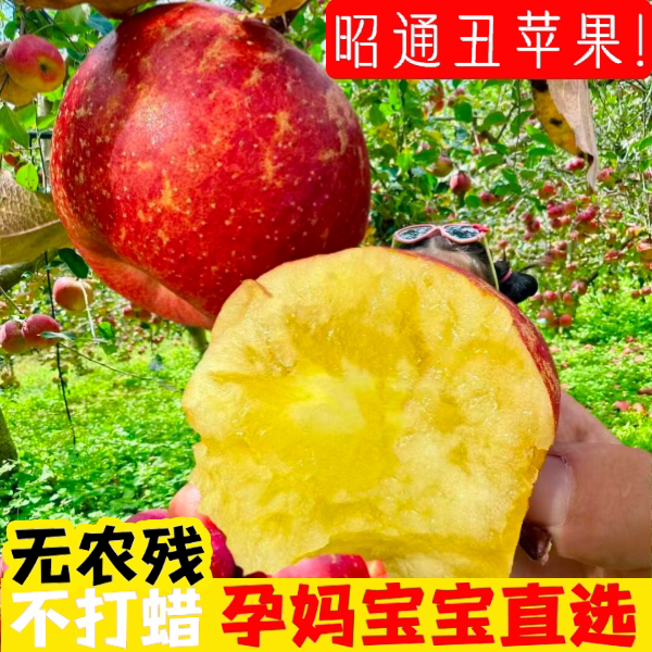 脆甜云南野生小苹果新鲜水果原生态小苹果又小又丑