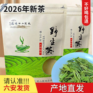 金寨野生茶2026年新茶安徽绿茶六安茶叶浓香型耐泡雨前春茶口粮茶