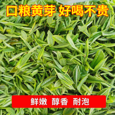 霍山黄芽2025年新茶浓香型耐泡茶