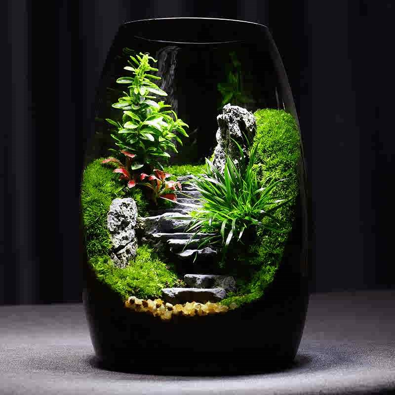 苔藓微景观e生态瓶桌面装饰小摆件办公室绿植diy盆栽玻璃造景盆景