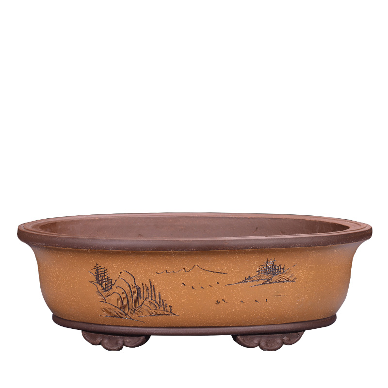 宜兴精品紫砂特大号椭q圆形花盆盆景盆马槽盆榕树桩盆室内盆栽花