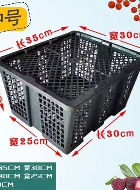 塑料筐周a转水果包装活体宠物运输笼透气筐子沙糖桔子筐子带盖子