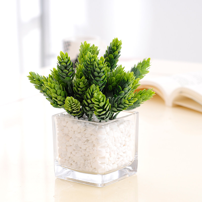 仿真多肉植物组合盆景s室内仙人掌绿植陶瓷玻璃花瓶装饰品