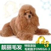 果莉派小型犬成犬幼犬狗粮泰迪贵宾博美吉娃娃奶糕粮500gX3罐3斤