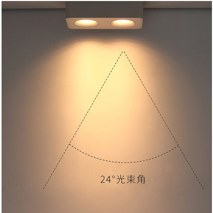 明装led小射灯长方形防眩光双头cob斗胆客厅无主筒灯走廊三头卧室