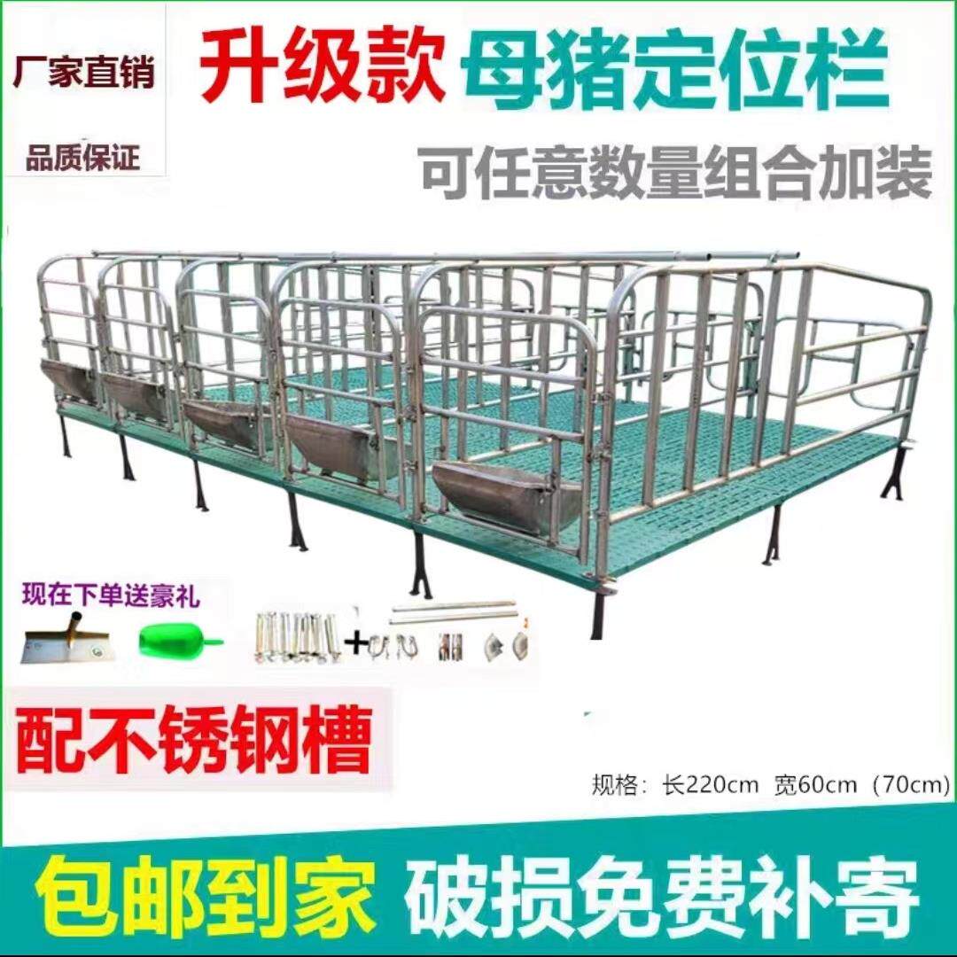 母猪定位栏十位五位限位栏热镀锌高位母猪栏带漏粪板老母猪栏