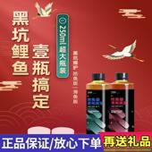 马焱钓鲤鱼小药一瓶搞定野钓黑坑饵料促食剂抢鱼无限回锅鱼诱鱼剂