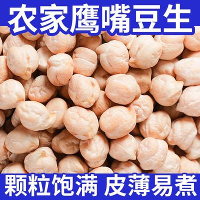 鹰嘴豆生正宗新疆生的豆类干