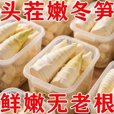 【脆嫩爽口】2025新鲜现挖冬笋