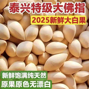 2025年新鲜大颗带壳白果银杏果无漂白泰兴特级干货百果官方旗舰店