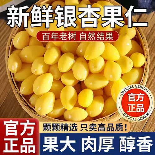 【颗粒饱满】2025年新鲜白果