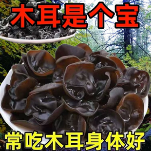 出口质量 正宗长白山小碗耳东北黑木耳干货特级野生椴木秋木耳