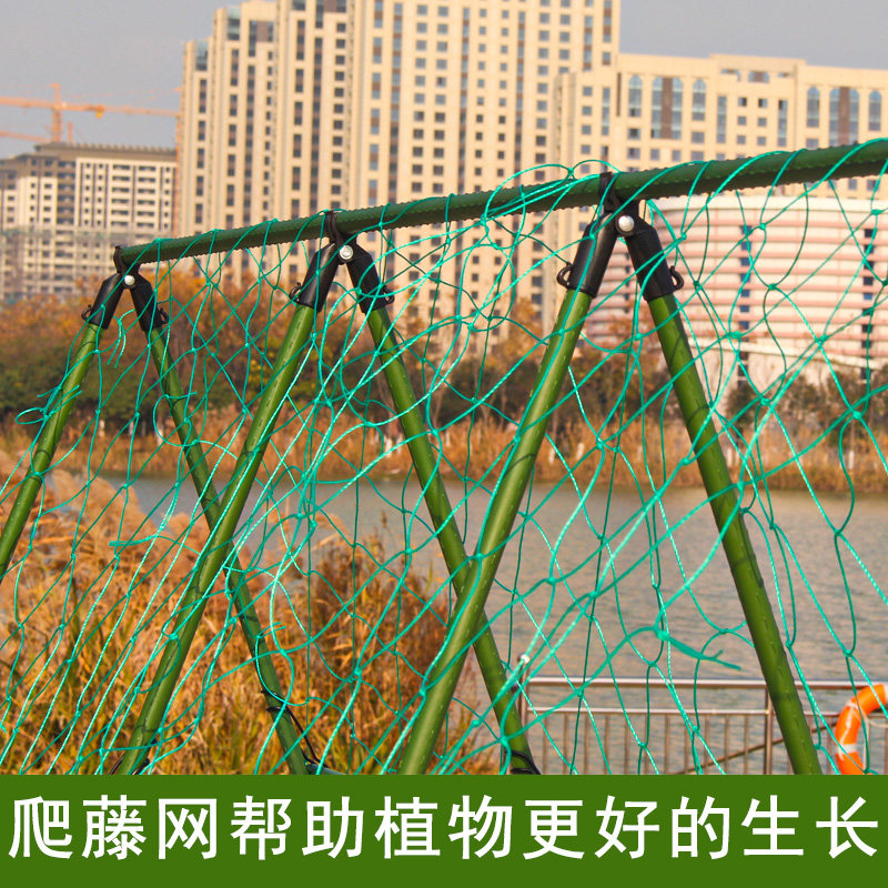 现货速发黄瓜架种菜爬藤架豆角支架台庭院蔬菜固定架杆柱园艺攀爬