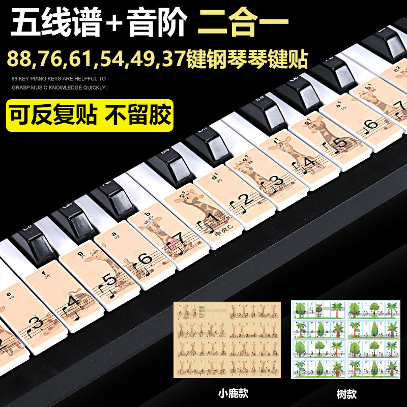 现货速发88/6154/4键钢琴贴纸电子琴手卷钢琴键贴简谱五线谱音标