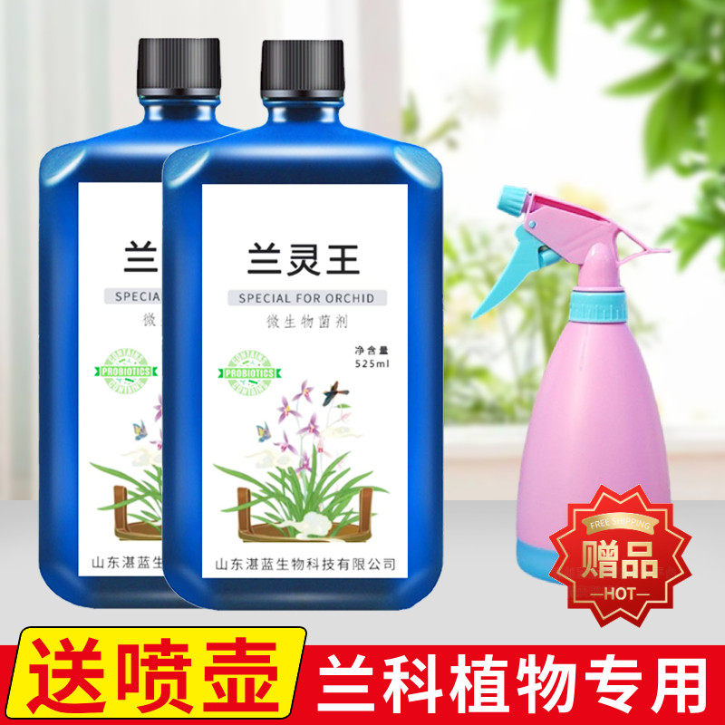 速发兰灵王兰花营养液肥料兰陵王君子兰兰蝶兰石斛蝴科促花活化剂