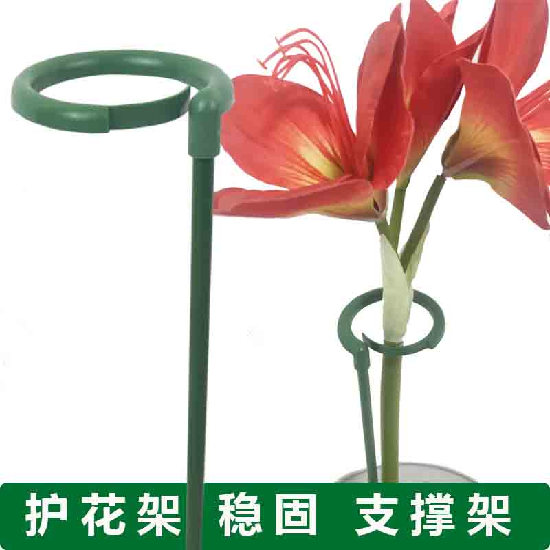 速发植物支撑杆蝴蝶兰用顶红支架爬藤杆室内花架子家朱园艺用品金
