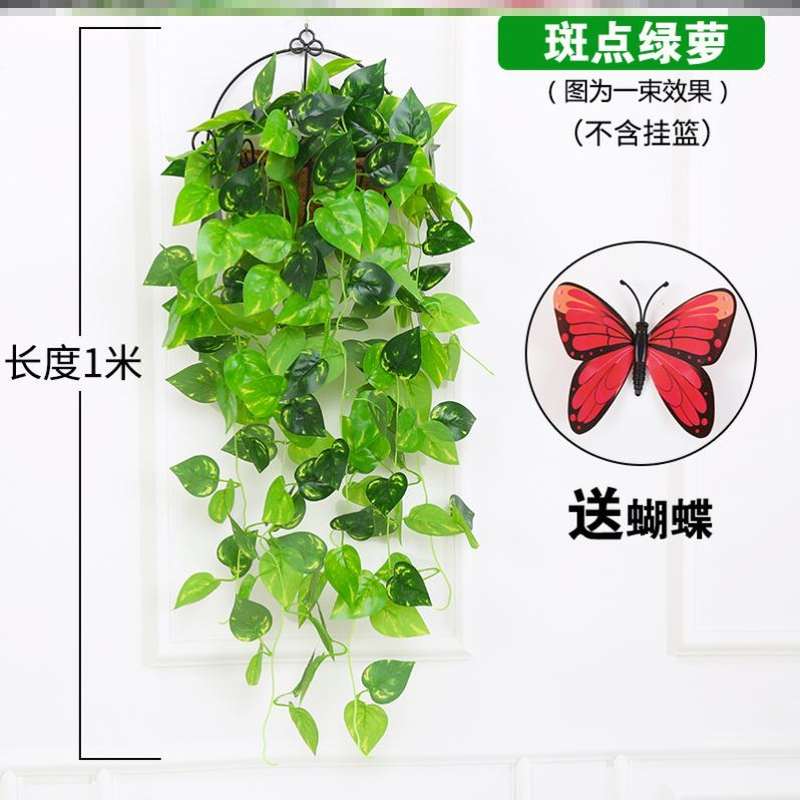 速发小玫瑰吊兰房间攀爬花环饰藤条装园室内造景幼儿台壁挂爬藤栏