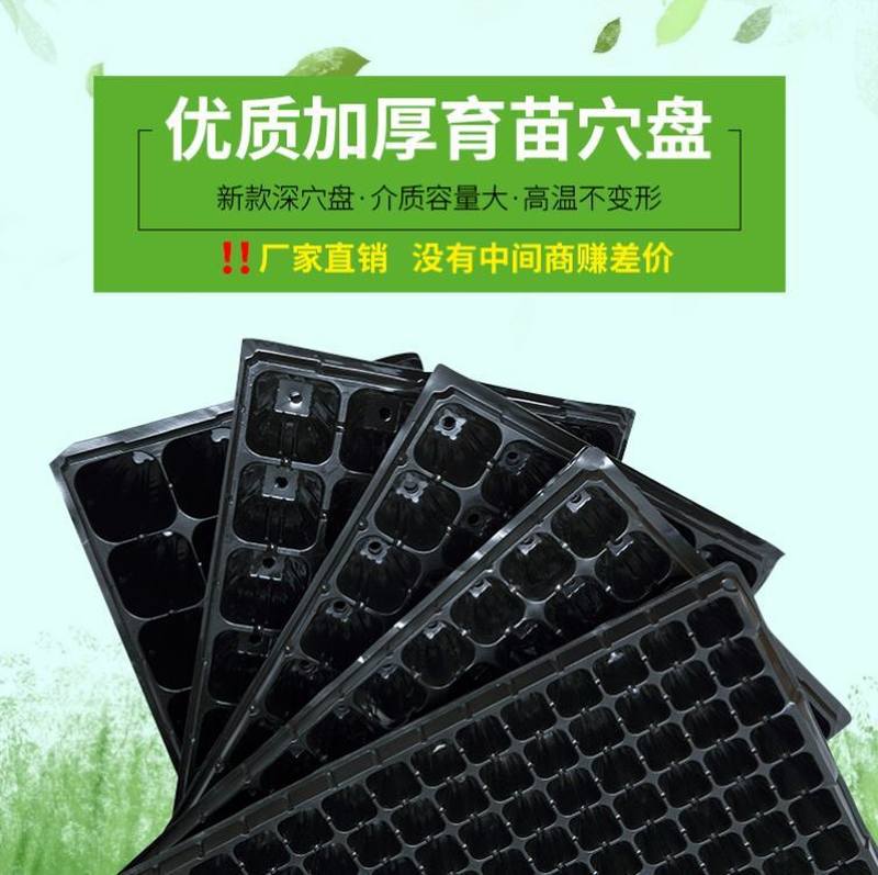 速发育苗菜农带托花盆长方形加厚硬质通用塑料大号多肉播种穴辣椒