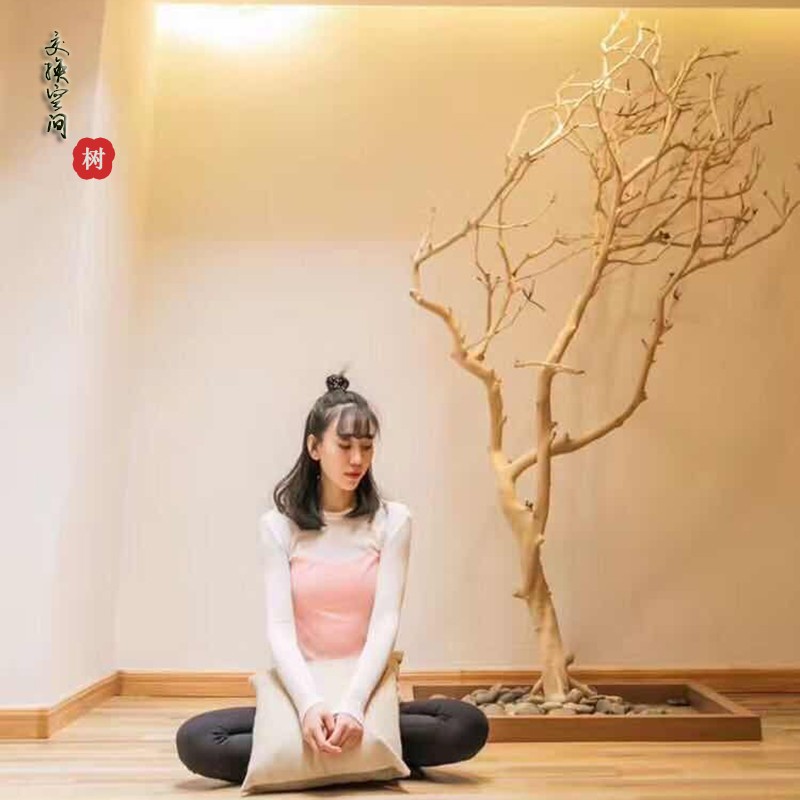 速发原木造型枯树去皮本色干树枝创意婚庆影楼道具橱窗摆件装饰树