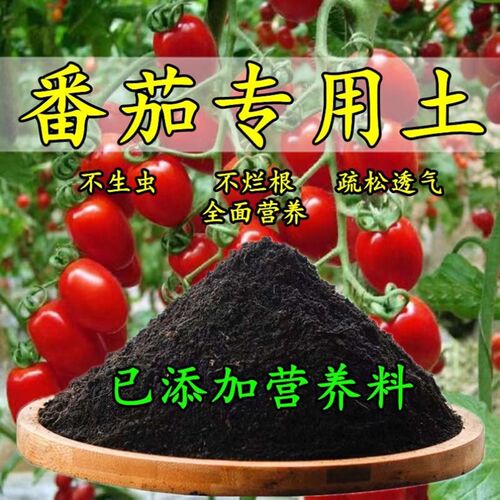 速发番茄土番茄营养栽盆土土养花种花土通用种植土壤有机肥料