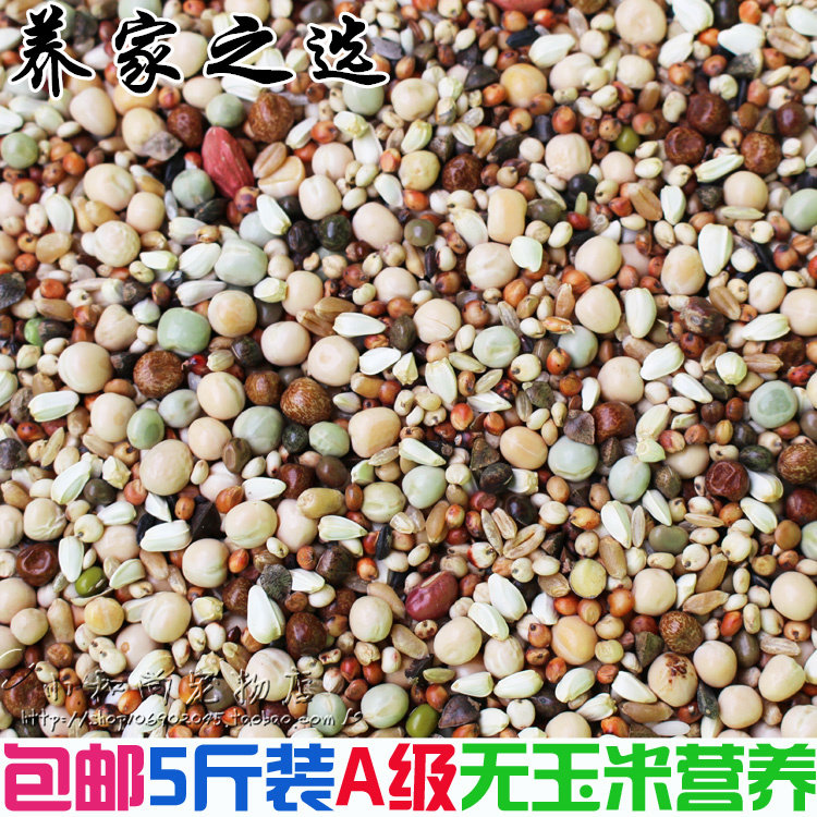 速发包邮5斤装品冠A级鸽粮无玉米幼鸽营养饲料鸟食信鸽观赏鸽肉鸽