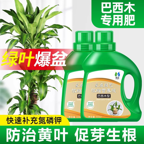 速发木营养液促生根芽绿幸运木水培肥养植物家用盆栽通用水料