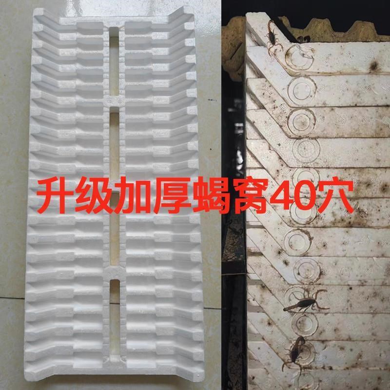 速发蝎子养殖蝎窝蝎苗二龄三龄四龄繁殖退皮群脱多功能泡沫养殖盒