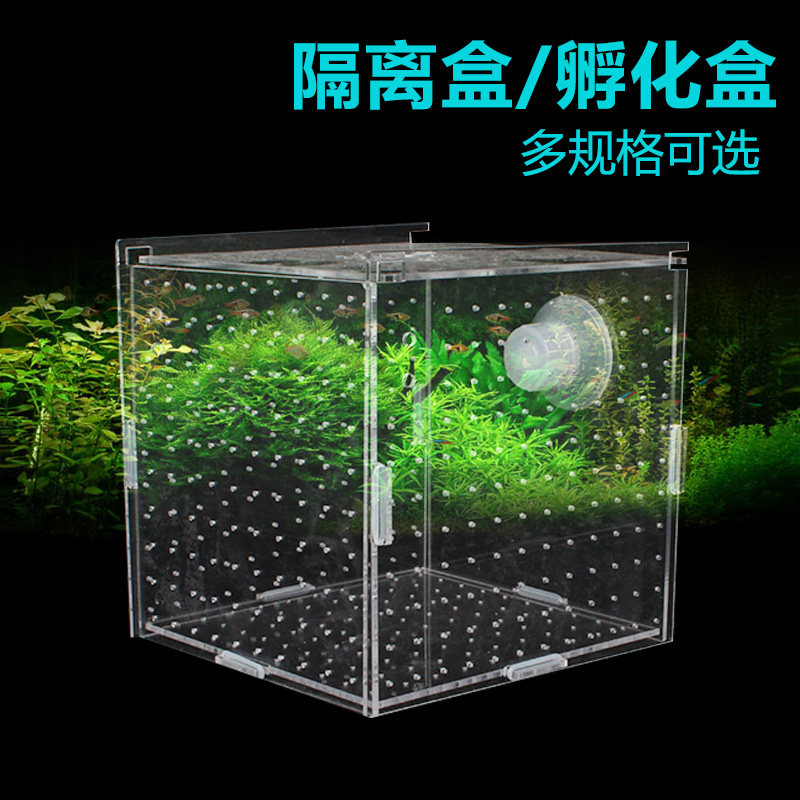 速发隔力盒单双多格隔离器亚克离鱼缸透明水族小鱼苗孵化网繁殖箱